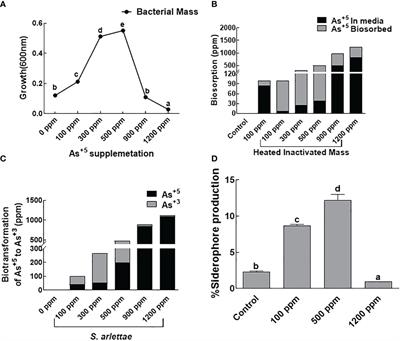 Staphylococcus arlettae mediated defense mechanisms and metabolite modulation against arsenic stress in Helianthus annuus
